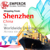 Sea Freight Shipping From Shenzhen to Worldwide Destinations