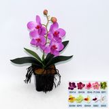 Artificial Potted Flower, Imitative Silk Orchid