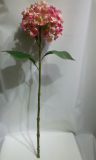 Artificial Big Stem Silk Pouch Hydrangea Flower for Decoration Wedding