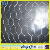 Galvanized Hexagonal Livestock Wire Netting (XA-HM4)