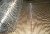 Welded Wire Mesh (DYCV)