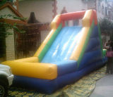One of The Most Popular Inflatable Slide (SL-009)