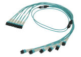 LC Multifiber Cable Assemblies