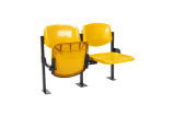 Sports Seating Gym Seating Arena Seating University Seat Plastic Seating (Shine-I)