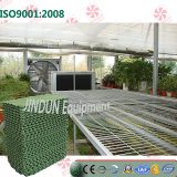 Customized China Full Green Cooling Pad for Poultry Houses