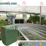 Customized China Full Green Cooling Pad for Poultry Houses