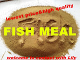 Fish Meal for Chicken Feed