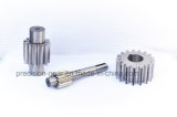 China Spur Gear Manufacture & Shaft Transmission
