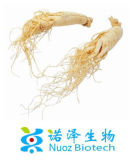 Low Pesticide Ginseng/Dried Ginseng/Ginseng Extract