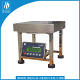 L Series High Tripod Stainless Steel Platform Scale