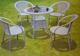 Rattan Furniture (JY-2040)