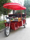 2014 New Model Passenger Electric Rickshaw (DCQ300K-02L-C)