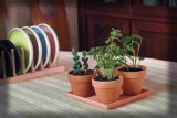 6.5 Inch Terracotta Combination Plant Pot (001003) 