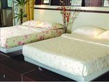 Hotel Bedding, King Bedding Set, Cotton Bedding (SDF-B-10)