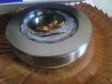 Short Cylindrical Roller Bearing