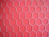 Galvanised Hexagonal Wire Mesh/Netting