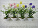 Artificial Plastic Potted Flower (XD15-314)