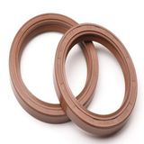 Acid Proof FKM Oil Seal for Mining Machine (zb083A)