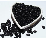Wholesale! China Small Black Bean for Good Quality