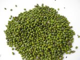 High Quality Dried Green Mung Bean From China