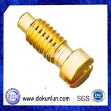OEM Brass Slotted Plug