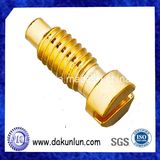 OEM Brass Slotted Plug