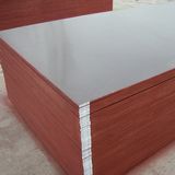 Film Faced Plywood for Building Material