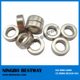 Full Magnetized N48 Epoxy Coated Ring Magnet