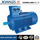 Ie1 Ie2 (CE) Y2 Three Phase Electric Motor (Y2-200L-4)