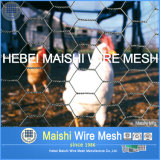 High Quality Chicken Wire Netting