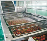 Full-Automatic Peach Juice Production Line Completely