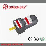 GS High Quality 6W 60mm AC Electric Motor