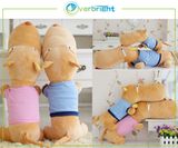 Plush and Stuffed Big Head Dog Toy (HD-PL-23)