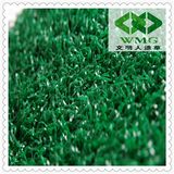 Carpet Grass Price for Golf