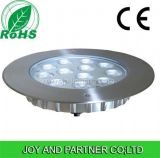 316 Stainless Steel LED Underwater Pool Lights with 12W (JP948121-AS)