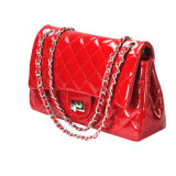 Lady's Fashion Hand Bag (SWBG-505)