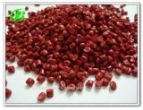 China Best Quality PP (Polypropylene) Virgin /Recycled