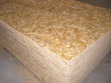 OSB E2 Glue Furniture Plywood, Fancy Plywood, Commercial Plywood