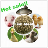 Hot Sale Fish Meal for Chicken Feed