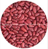 Shanxi Dark Red Kidney Bean