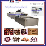 Chocolate Moulding Machine for Dsale