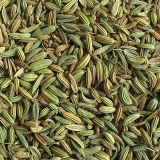 25kgs/50kgs PP Bags China Best-Selling Fennel Seeds