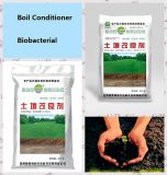 Bio-Bacterial Soil Conditioner---Special for Saline-Alkali Soil