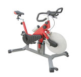 Professional Home Use Exercise Spin Bike