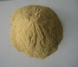 Good Quality Yest Powder with 55% Protein