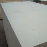 Building Material Commercial Plywood Furniture Poplar Plywood