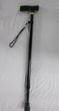 Extending Walking Stick with Plastic Handle