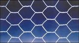 Hexagonal Wire Mesh (DYR)