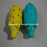 Dog Wholesale Latex Pig Toy, Pet Toy