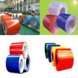 PPGI Color Coil/Color Coated Steel Coils/Perforated Steel Coil